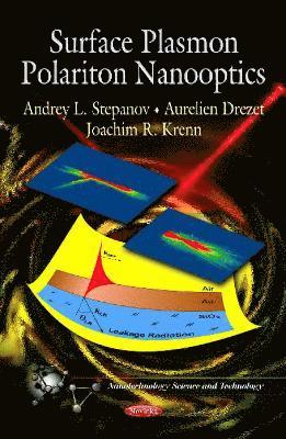bokomslag Surface Plasmon Polariton Nanooptics