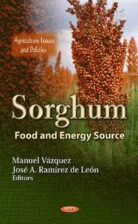 bokomslag Sorghum