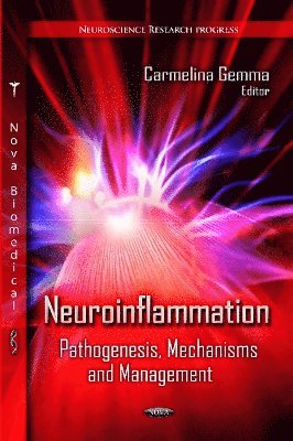 bokomslag Neuroinflammation