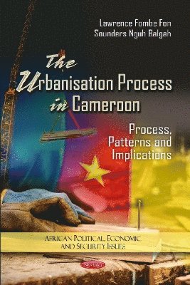 bokomslag Urbanization Process in Cameroon