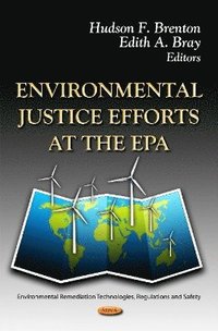 bokomslag Environmental Justice Efforts at the EPA
