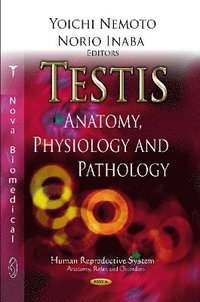 bokomslag Testis