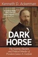 bokomslag Dark Horse: the Surprise Election and Political Murder of President James A. Garfield