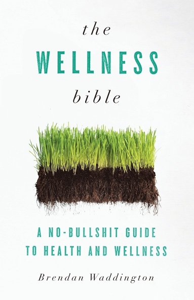 bokomslag The Wellness Bible