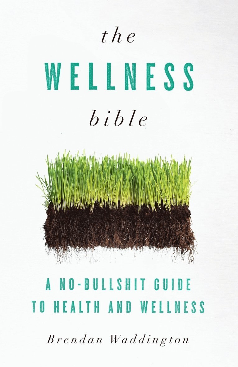 The Wellness Bible 1