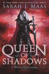 bokomslag Queen of Shadows