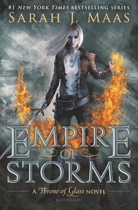 bokomslag Empire of storms