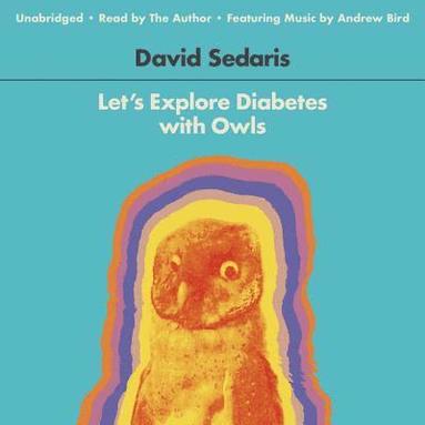 bokomslag Let's Explore Diabetes With Owls