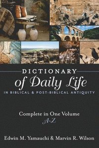 bokomslag Dictionary of Daily Life in Biblical and Post-Biblical Antiquity