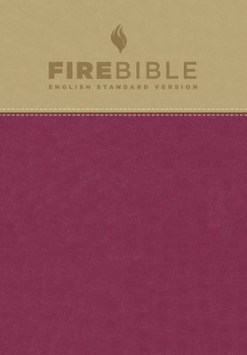 bokomslag Fire Bible-ESV