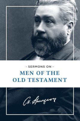 bokomslag Sermons on Men of the Old Testament