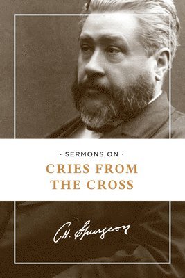bokomslag Sermons on Cries from the Cross