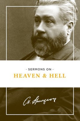 bokomslag Sermons on Heaven and Hell