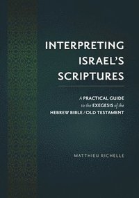 bokomslag Interpreting Israel's Scriptures: A Practical Guide to the Exegesis of the Hebrew Bible / Old Testament