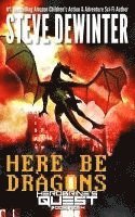 bokomslag Here Be Dragons