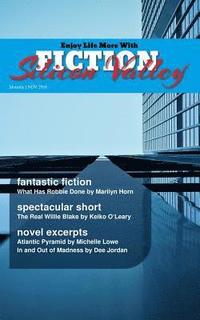 bokomslag FICTION Silicon Valley: Monthly NOV 2016