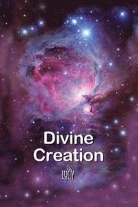 bokomslag Divine Creation