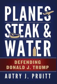 bokomslag Planes, Steak & Water