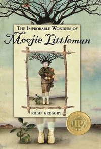 bokomslag The Improbable Wonders of Moojie Littleman