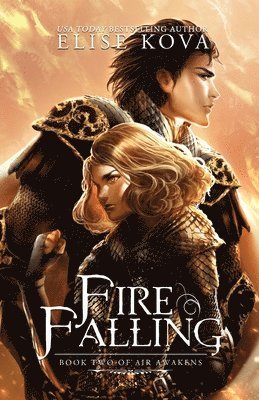 bokomslag Fire Falling
