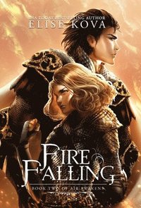 bokomslag Fire Falling