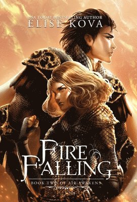 bokomslag Fire Falling