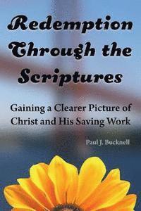 bokomslag Redemption Through the Scriptures: Gaining a Clearer Picture of Christ and His Saving Work