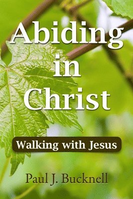 Abiding in Christ 1