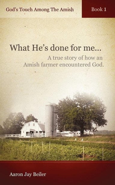 bokomslag God's Touch Among The Amish, Book 1