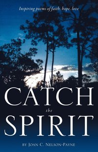 bokomslag Catch the Spirit