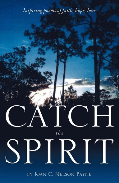 bokomslag Catch the Spirit