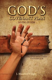 bokomslag God's Covenant Plan