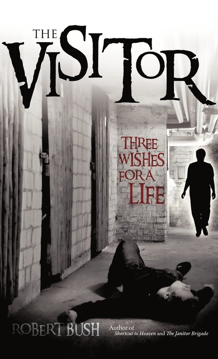 The Visitor 1