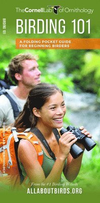 bokomslag Birding 101