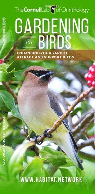 bokomslag Gardening for Birds