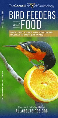 bokomslag Bird Feeders and Food