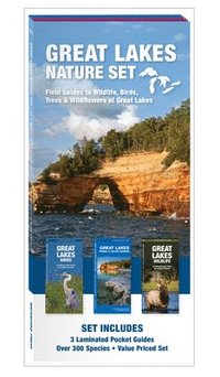 bokomslag Great Lakes Nature Set: Field Guide to Wildlife, Birds, Trees & Wildflowers of the Great Lakes