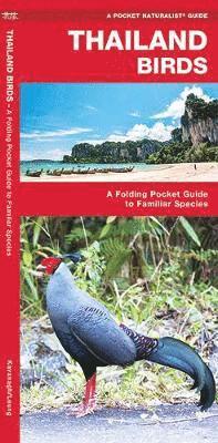 bokomslag Thailand Birds