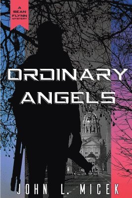 Ordinary Angels 1