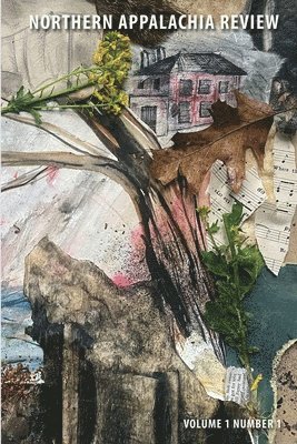 Pj Piccirillo, Carrie Campbell, Damian Dressick - Northern Appalachia Review v1, Häftad