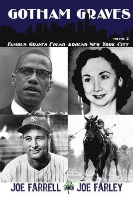 Joe Farrell, Joe Farley - Gotham Graves Volume 2, Häftad