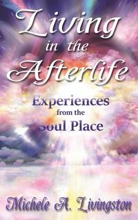 bokomslag Living in the Afterlife - Experiences from the Soul Place