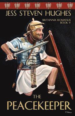 bokomslag Peacekeeper
