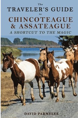 The Traveler's Guide to Chincoteague and Assateague 1