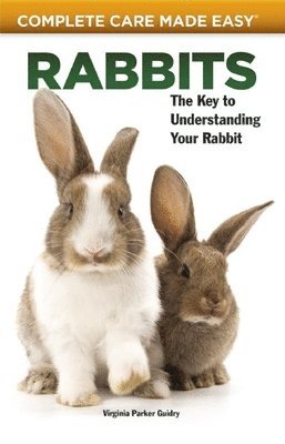 bokomslag Rabbits (Complete Care Made Easy)