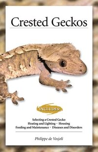bokomslag Crested Geckos