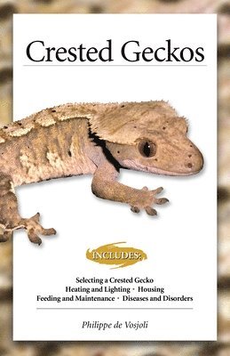 Crested Geckos 1