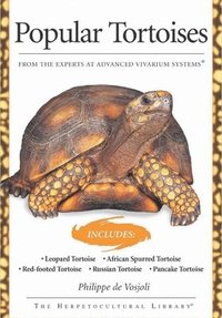 bokomslag Popular Tortoises (Advanced Vivarium Systems)