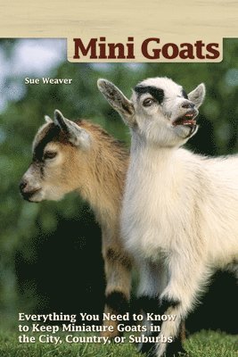 bokomslag Mini-Goats