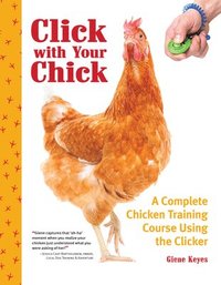 bokomslag Click with Your Chick